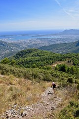Fototapeta na wymiar Mont Caume Toulon