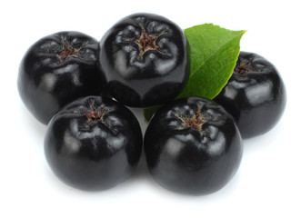 Chokeberry with leaf isolated on white background. Black aronia