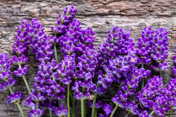 Background with lavender, pattern with flowers on wooden surface, top view, closeup