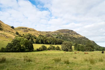 Selbstklebende Fototapete Hügel Ochil Hills in der Nähe von Blairlogie, Schottland