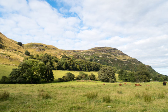 Ochil Hills Near Blairlogie, Scotland