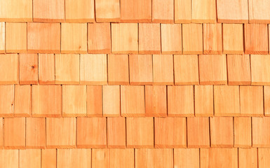 Texture of a wooden wall