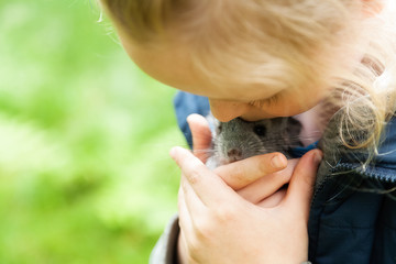 Girl is holding a chinchilla