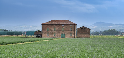 Fototapeta na wymiar Rural landscape near Fidenza (Parma)