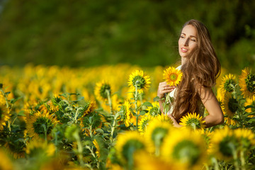 Naklejka na ściany i meble Sunny day woman in a field among blooming sunflowers.