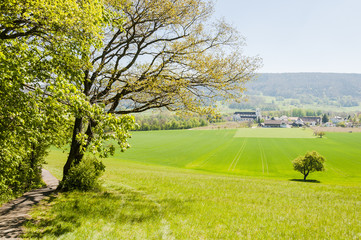 Mariastein, Dorf, Landwirtschaft, Wanderweg, Spazierweg, Felder, Kloster, Kloster Mariastein,...
