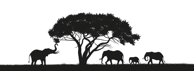 Fotobehang Black silhouette of elephants and trees in the savannah. Animals of Africa. African landscape. Panorama of wild nature. Vector illustration © shaineast