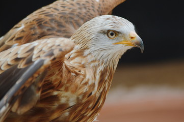 Processed with VSCOcam with m5 preset