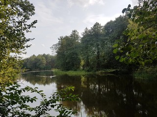 Fototapeta na wymiar Jezioro w lesie