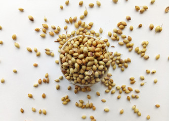 Coriander seeds