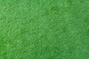  Artificial grass leaves beautiful garden front