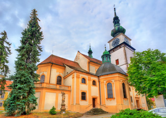 Fototapeta na wymiar St. Martin church in Trebic, Czech Republic