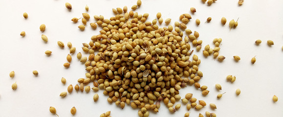 Coriander seeds