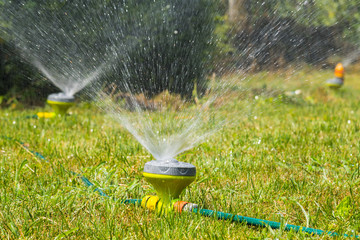 Spraying water on green lawn