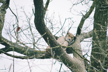 Processed with VSCO with c1 preset
