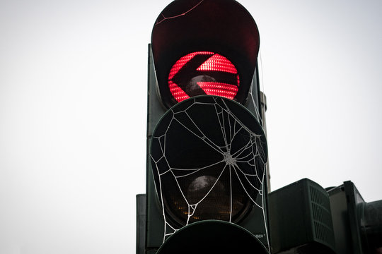 Rote Ampel mit Spinnweben