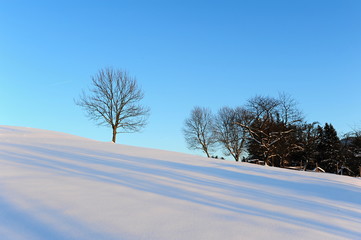 Winter panorama