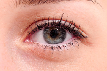 Obraz premium The macro female eye