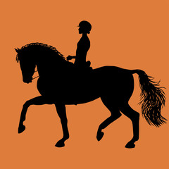 Rider and horse execute the passage.