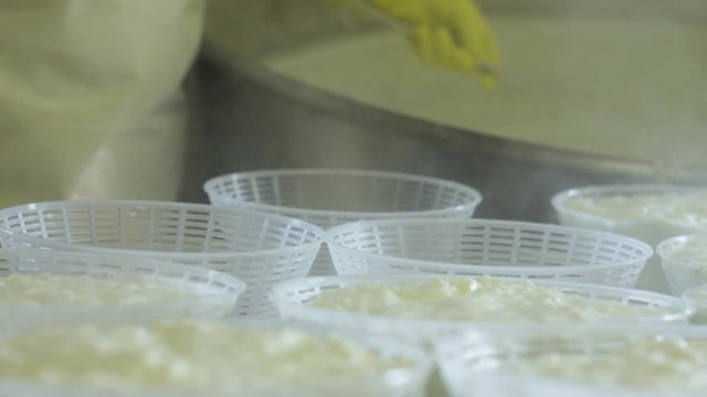 Making Ricotta Cheese. The Cheesemaker Fills The Baskets With Fresh Ricotta Cheese