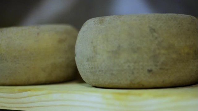 Maturing Pecorino Cheese