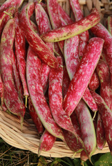 rote bohnenschote in einem weidenkorb