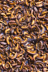 Dried plums