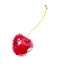 One cherry on a white background