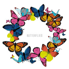 print with color bright butterflies