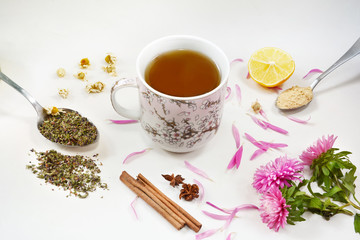 Cup of healthy tea, honey, healing herbs, herbal tea assortment on white background