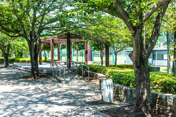 公園の木漏れ日