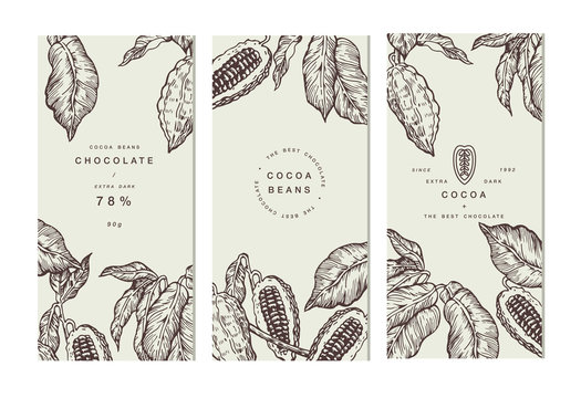 Cocoa bean tree banner collection. Design templates. Engraved style illustration. Chocolate cocoa beans. Vector illustration