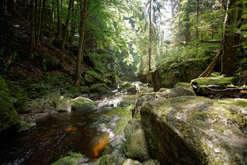 Saußbachklamm im Bayerischen Wald