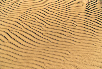 Sand in the desert as a background