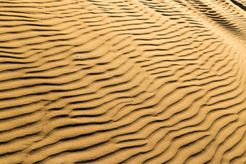 Sand in the desert as a background