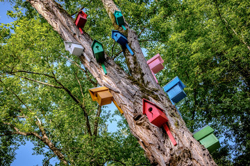 multicolored birdhouses