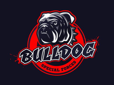 Bulldog head logo, emblem on dark background. Vector illustration.