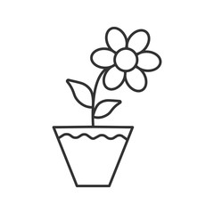 Crocus flower in flowerpot linear icon