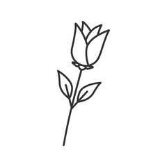 Rose flower linear icon