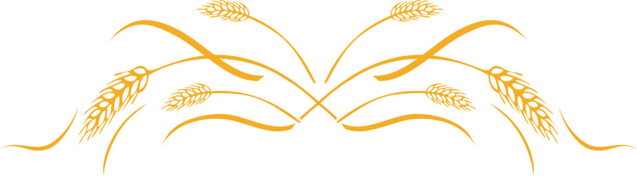 Gold ripe wheat ears frame, border or corner element.
