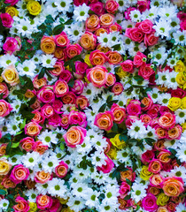 floral background with roses and chrysanthemums. roses