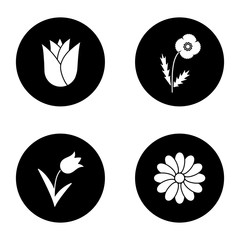 Flowers glyph icons set