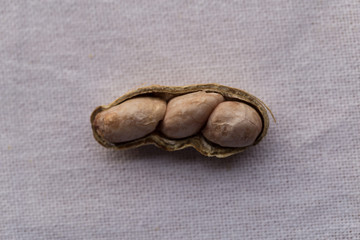 Closeup isolated peanut on white background