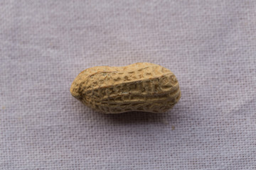 Closeup isolated peanut on white background