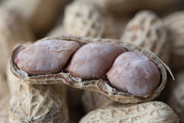 Closeup isolated peanut bean on white background