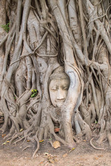 アユタヤ遺跡　ワットマハタート