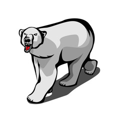 Vector flat illustration of a wild polar bear for your print design and internet