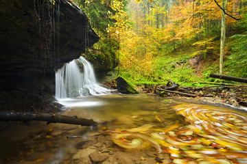 Small Waterfall in Autumn Forest, Colourful Leaves  in Whirlpool