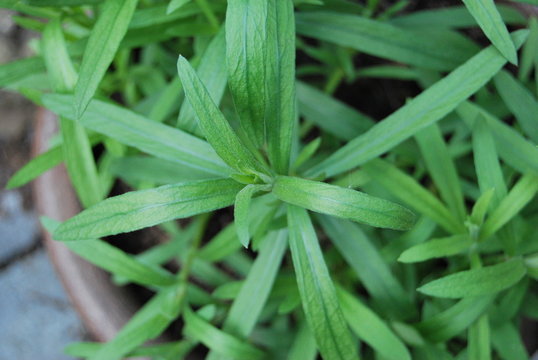 AgonBilder StockFotos & Videos. Adobe Stock