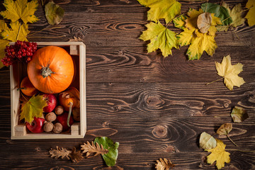 Autumn fruits and vegetables over wooden background, top view, flat lay